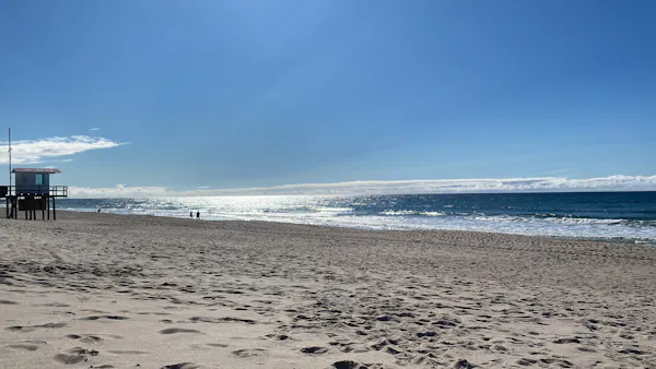 Frankfurt Heringsdorf direkt