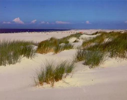 Sylt,Spontan an den feinen Sandstrand, Gosch und Sansibar haben auch geöffnet ;) .......kein Problem,