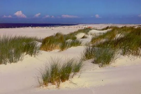 Sylt,Spontan an den feinen Sandstrand, Gosch und Sansibar haben auch geöffnet ;) .......kein Problem,