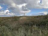 Die Dünen auf Langeoog