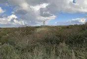 Die Dünen auf Langeoog