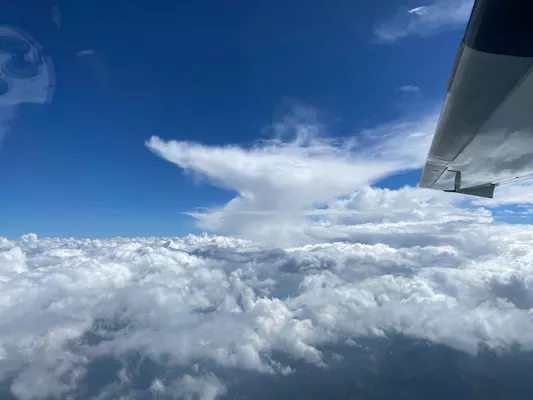 Augsburg London nach Gesuch