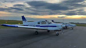Piper